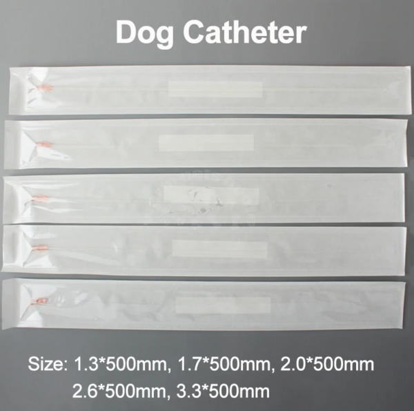 SONDES URINAIRES POUR CHIEN